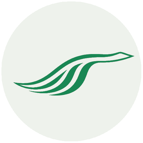 Dauergrabpflege