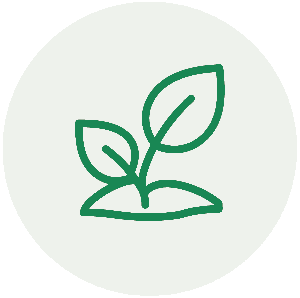 Grabpflege Icon